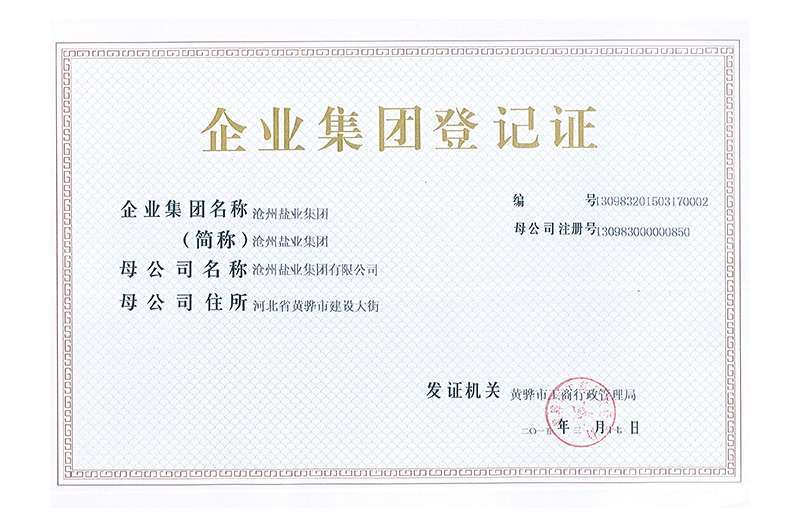 企業(yè)集團登記證
